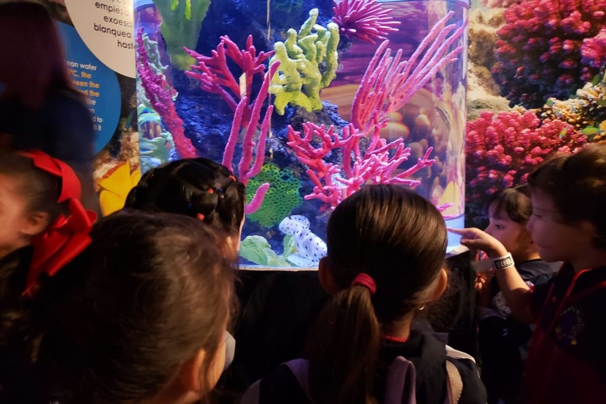 Galería Kinder Intlanpalli (23)